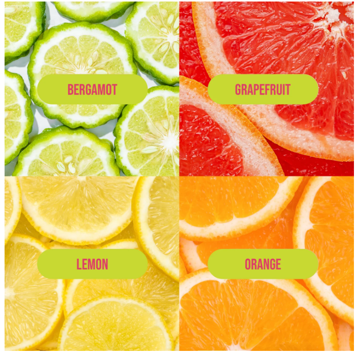 Four types of citrus fruits (bergamot, grapefruit, lemon, orange) with labels on a white background.