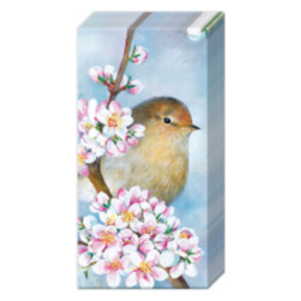Harmony Pocket Tissues