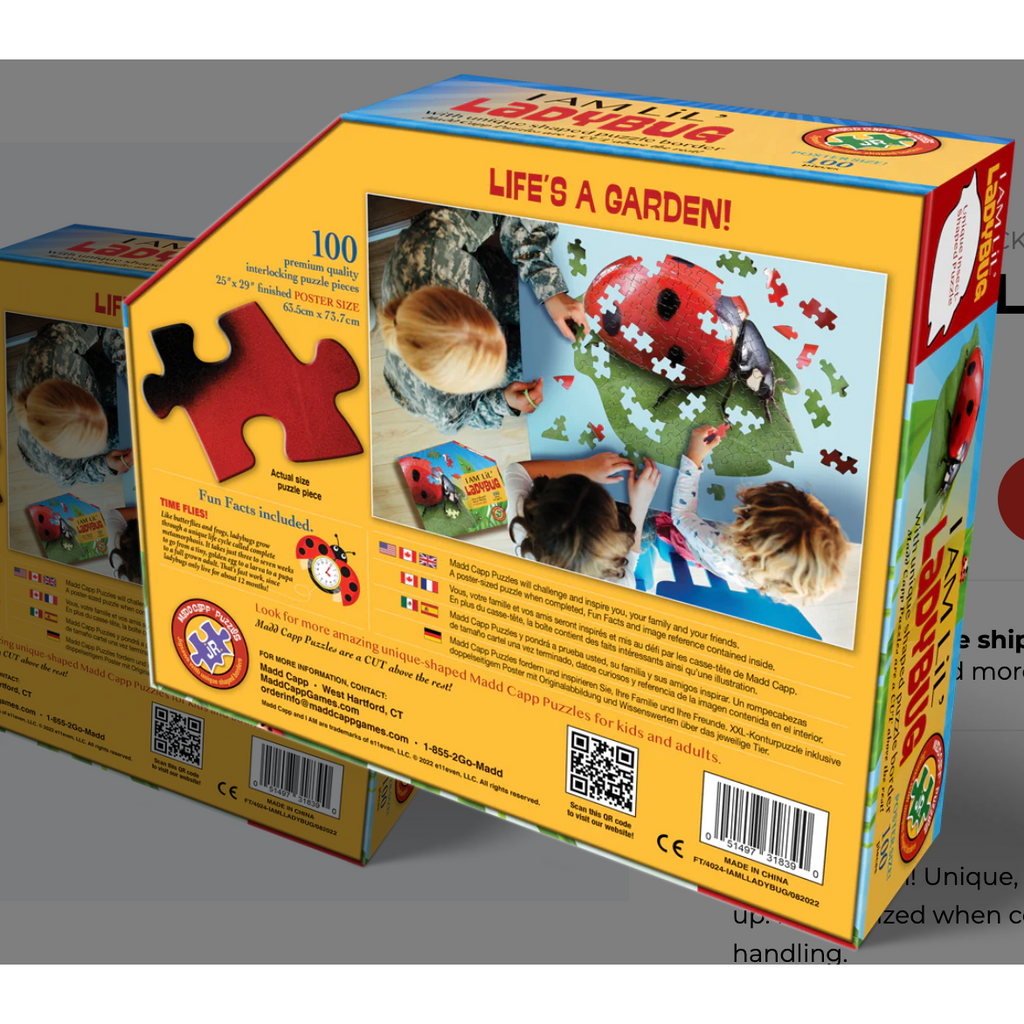 I am Lil' Ladybug 100