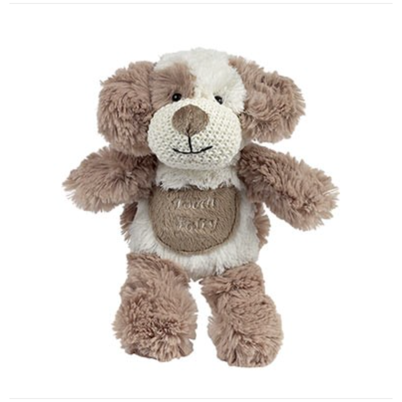 Max the Puppy Tooth Fairy