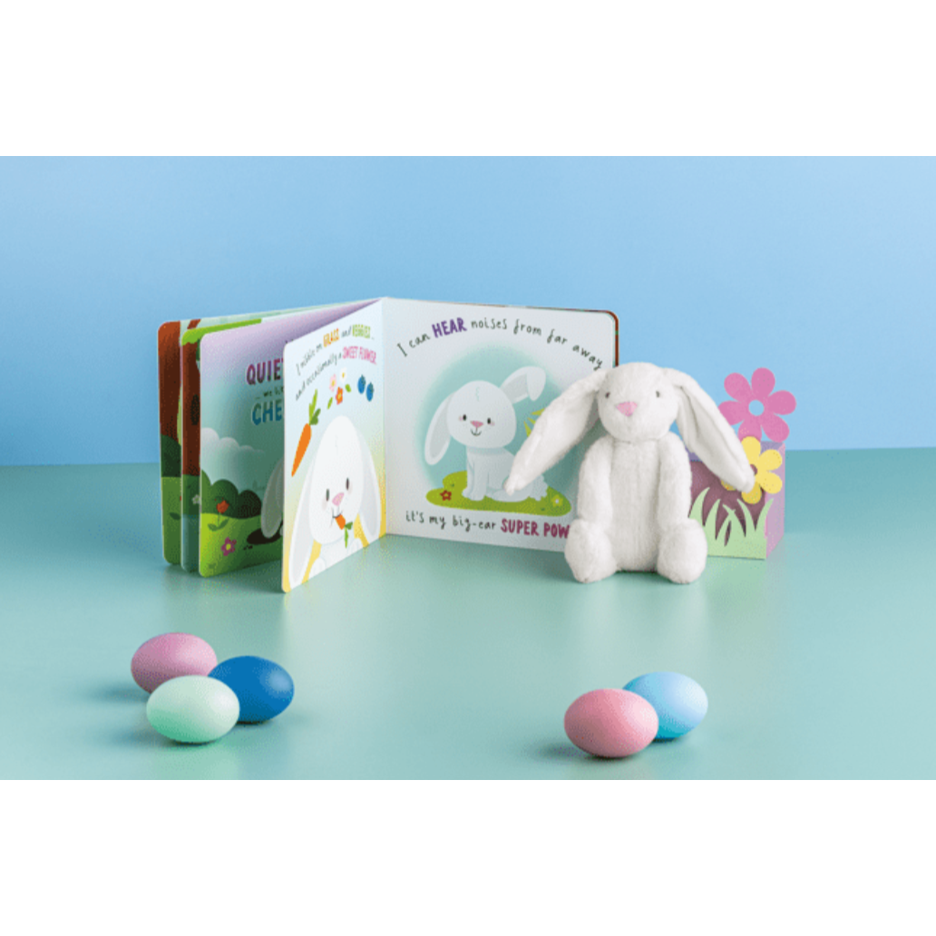 Plush Bunny Book