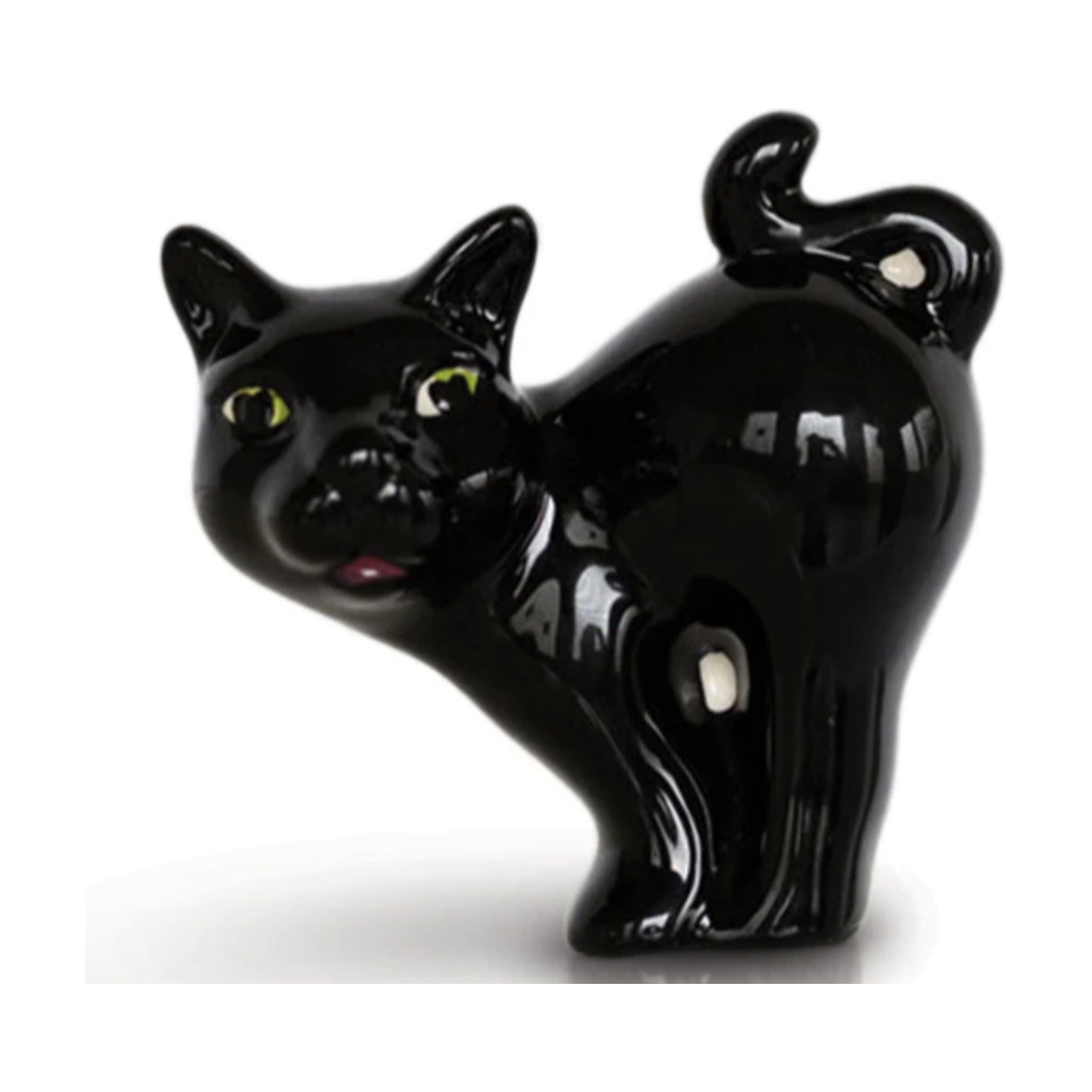 Scaredy Cat