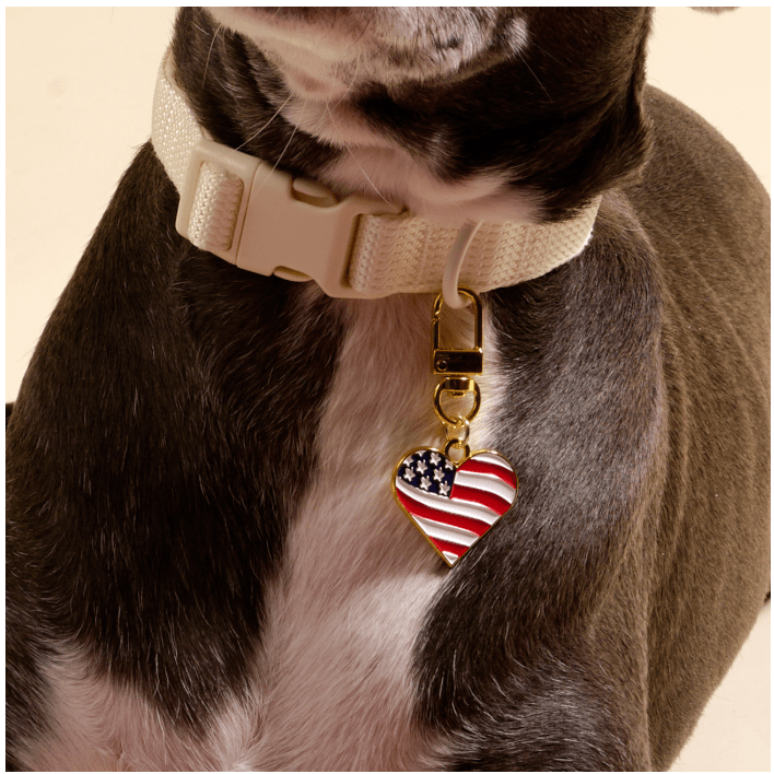 Americana Heart Pawfect Collar Charm - White Farmhouse Flowers