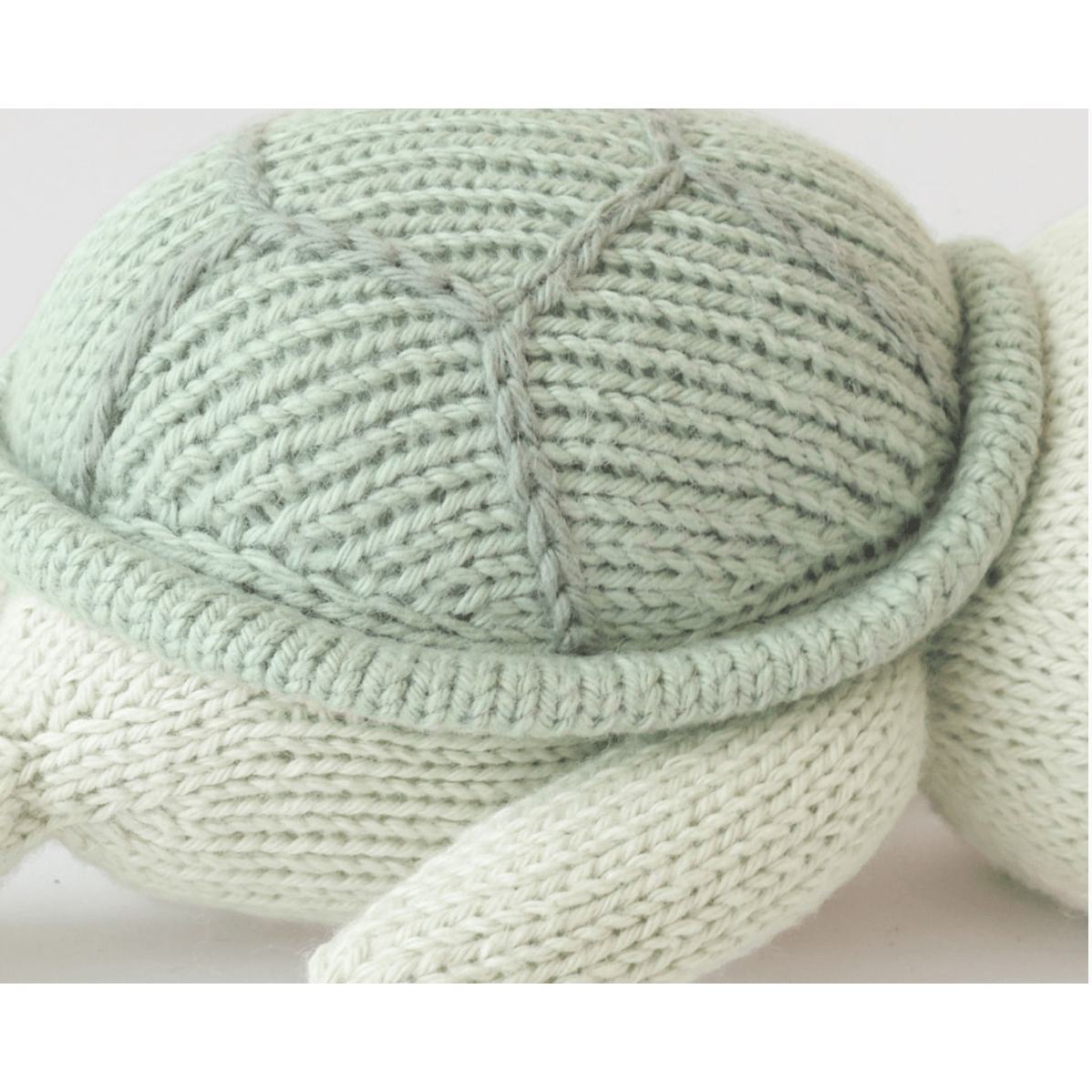 Baby Turtle - White Farmhouse Flowers