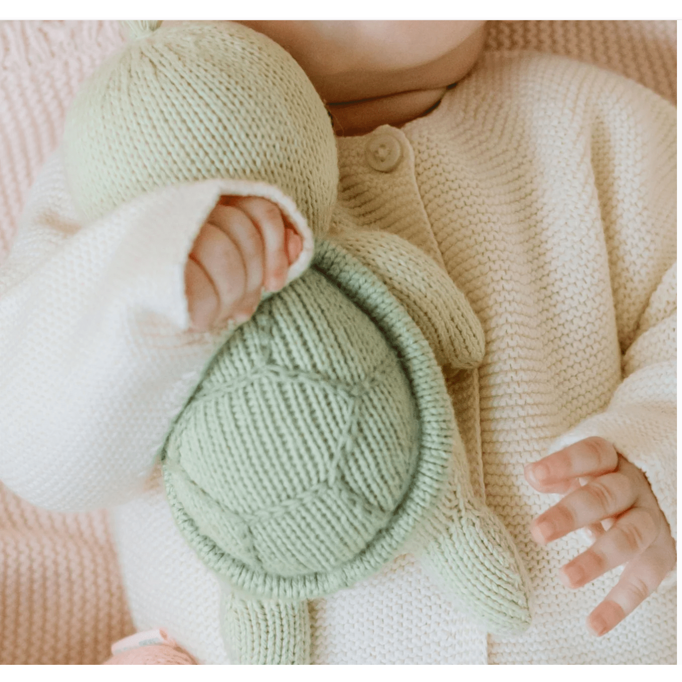 Baby Turtle - White Farmhouse Flowers