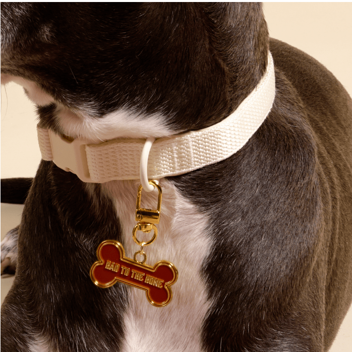 Bad to the Bone Pawfect Collar Charm - White Farmhouse Flowers
