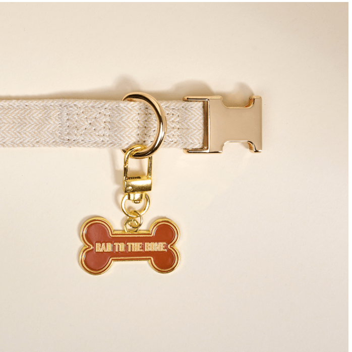 Bad to the Bone Pawfect Collar Charm - White Farmhouse Flowers