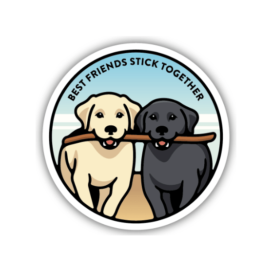 Best Friends Stick Together Sticker - White Farmhouse Flowers