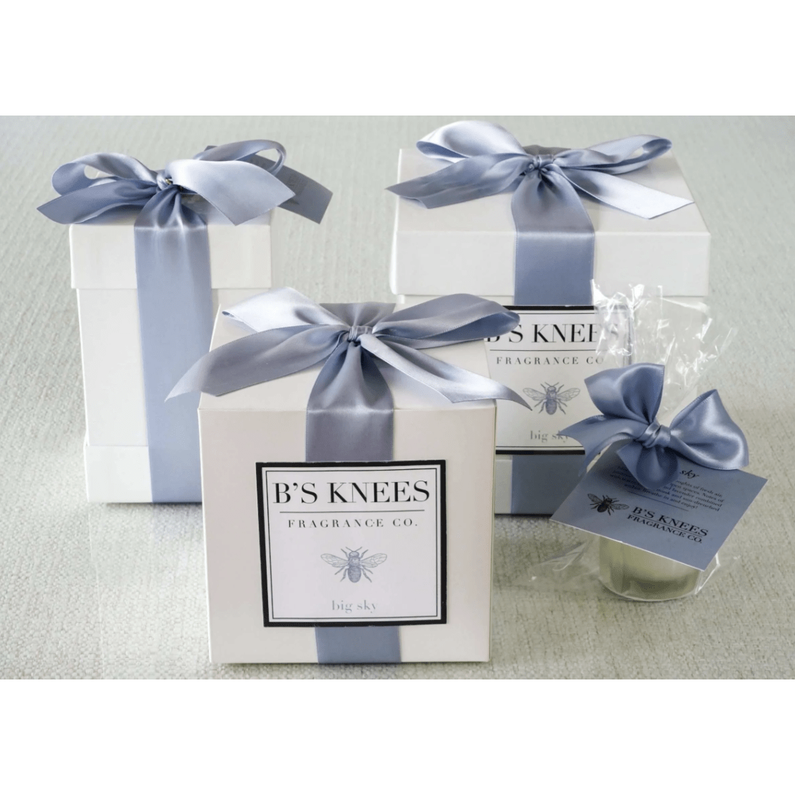 Big Sky Clear Large Blossom Diffuser - White Farmhouse Flowers