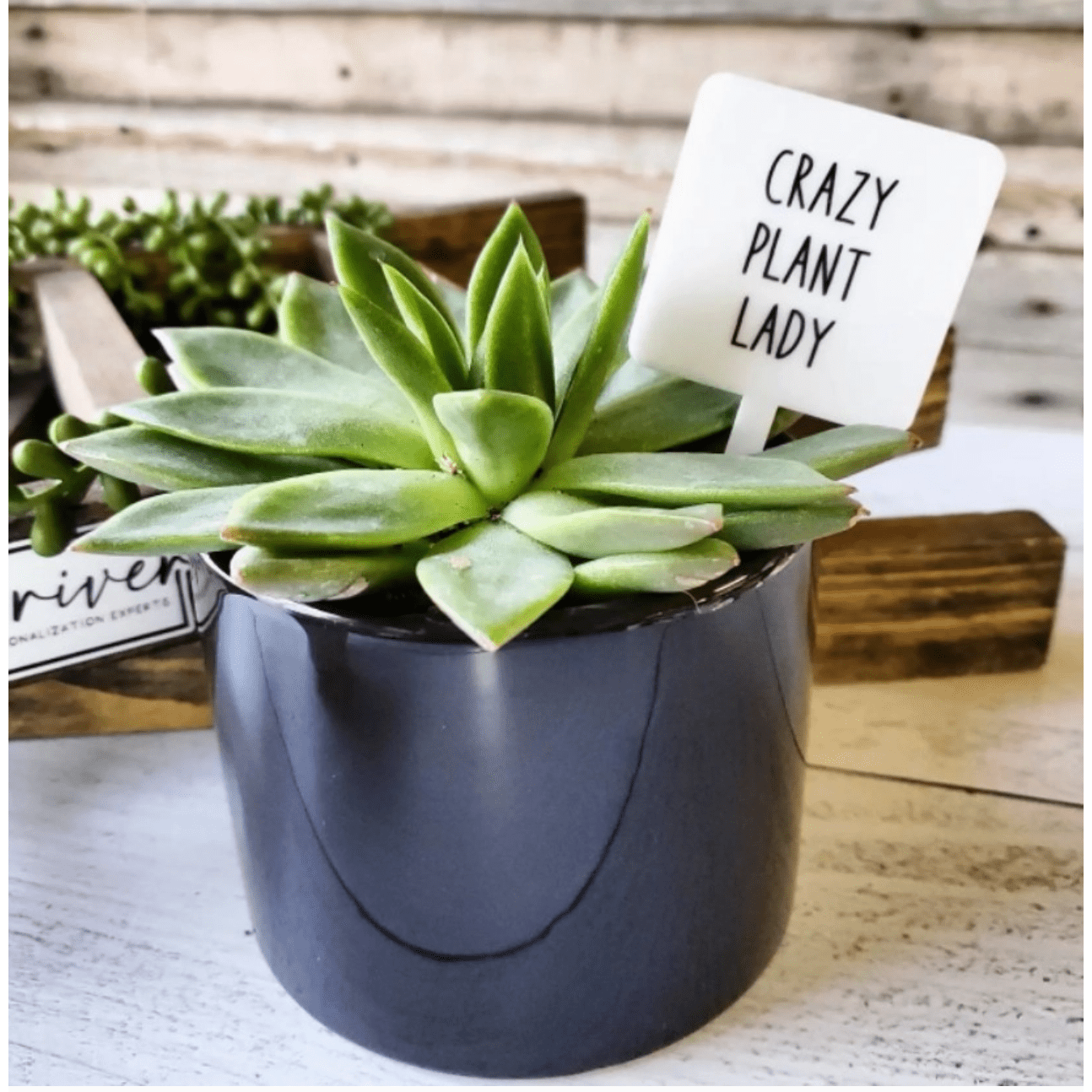 Crazy Plant Lady Peasant Plant Marker Stakes - White Farmhouse Flowers
