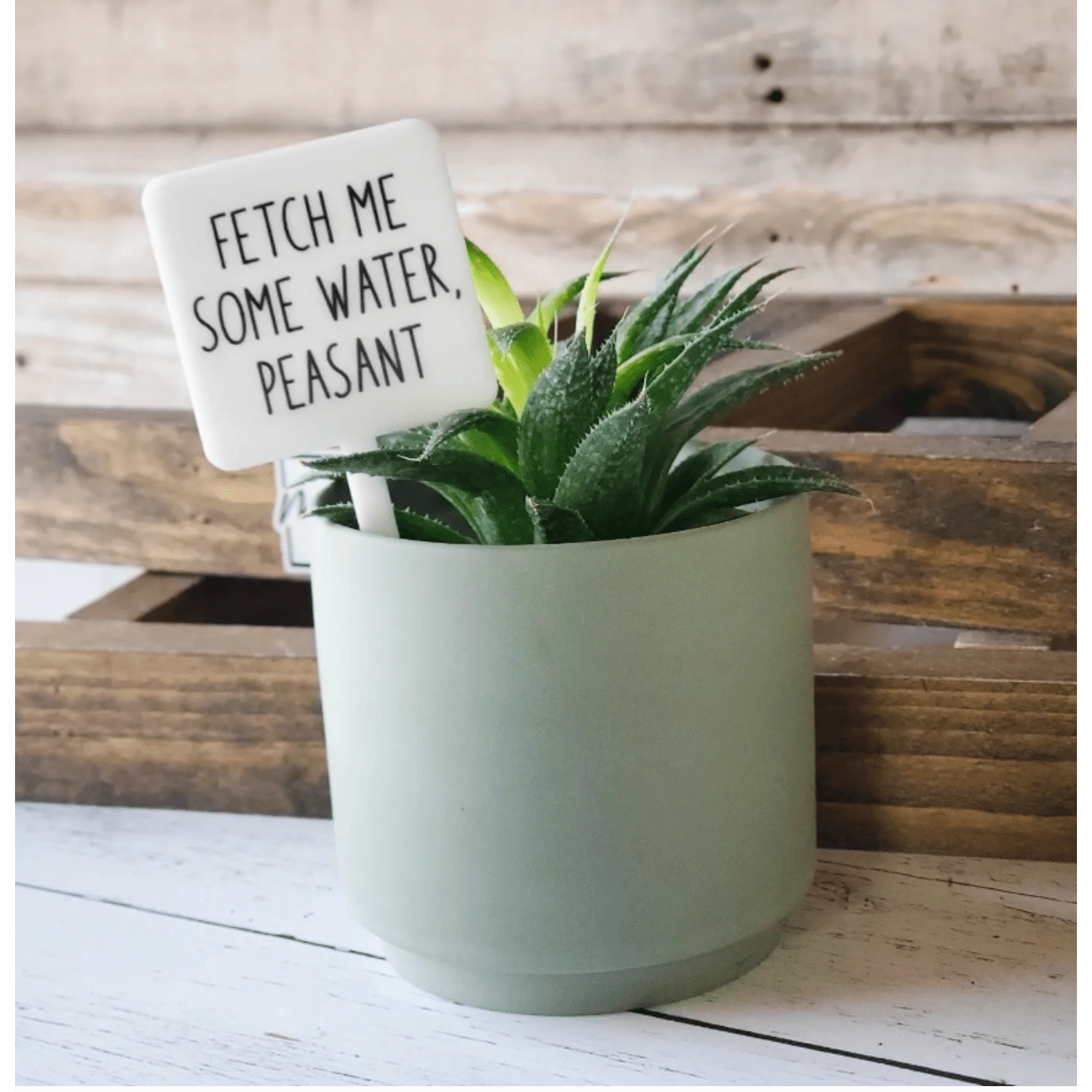 Fetch me Water Peasant Plant Marker Stakes - White Farmhouse Flowers