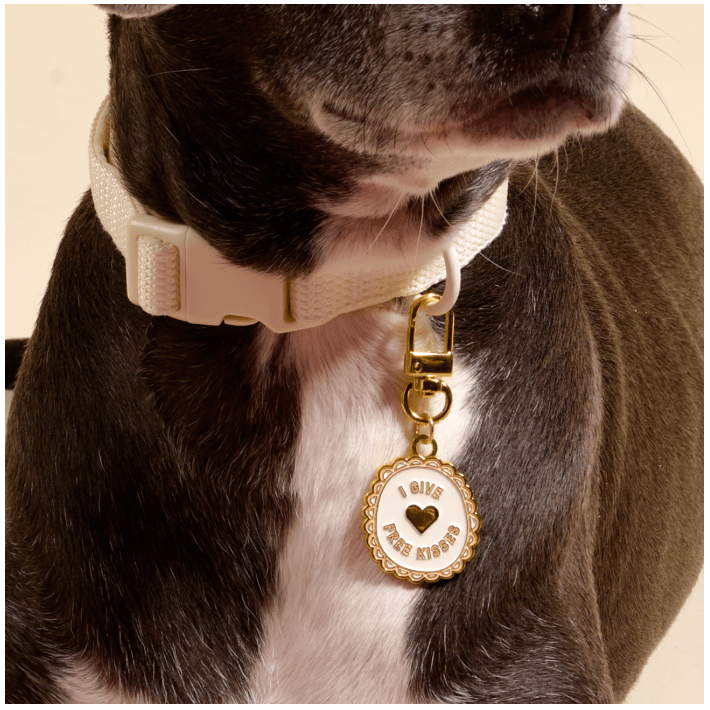 Free Kisses Pawfect Collar Charm - White Farmhouse Flowers