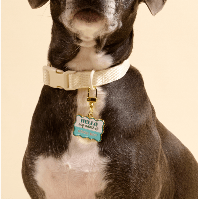 Good Boy Pawfect Collar Charm - White Farmhouse Flowers
