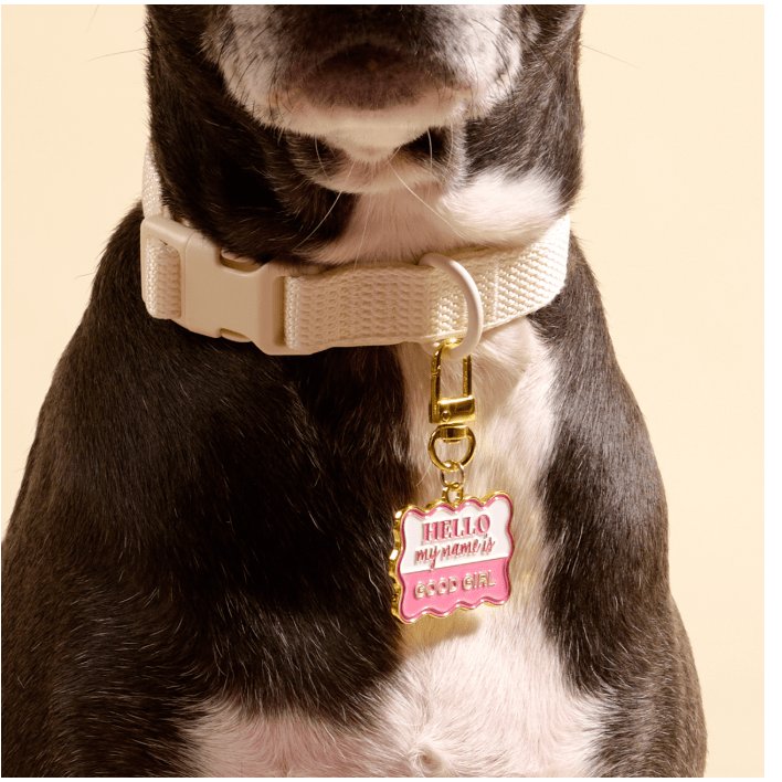 Good Girl Pawfect Collar Charm - White Farmhouse Flowers