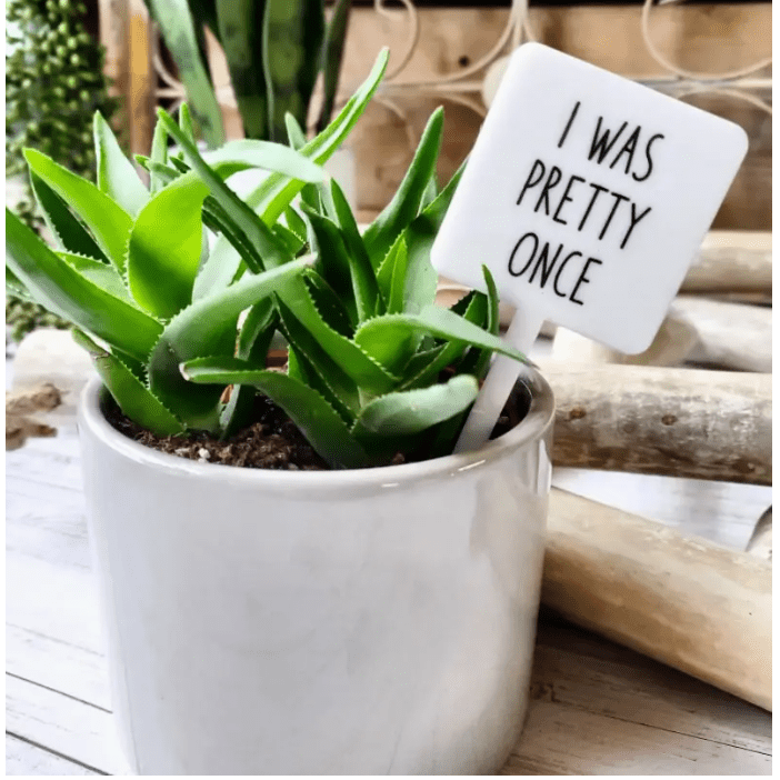 I Was Pretty Once Plant Marker Stake - White Farmhouse Flowers