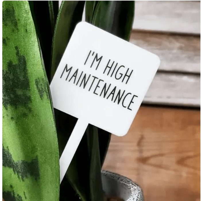 I'm High Maintenance Plant Marker Stake - White Farmhouse Flowers