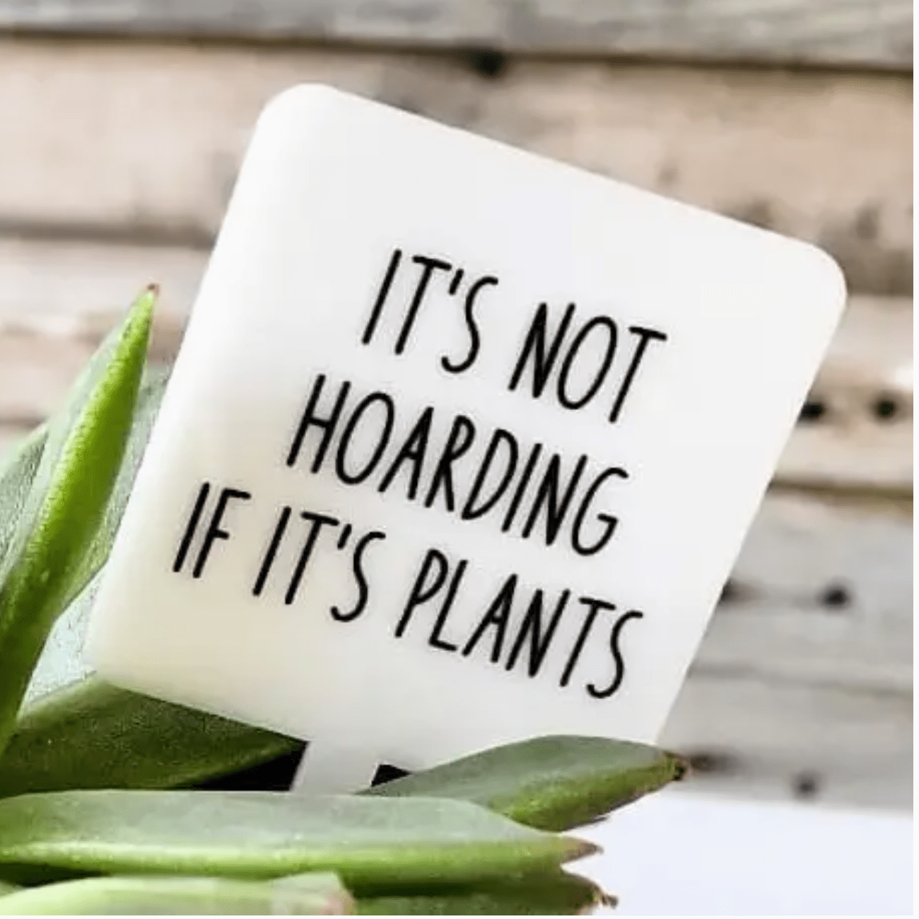 It's Not Hoarding if it's Plants Plant Marker Stake - White Farmhouse Flowers