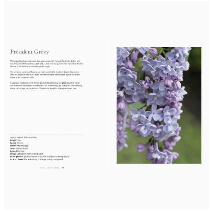 Lilac's Coffee Table Book - White Farmhouse Flowers