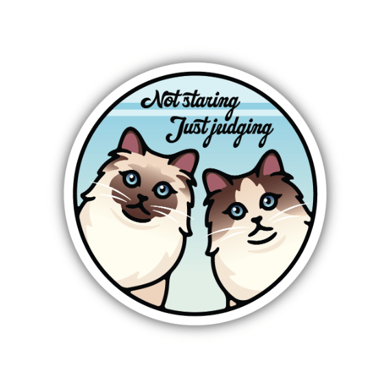 Not Staring Just Judging Cats Sticker - White Farmhouse Flowers
