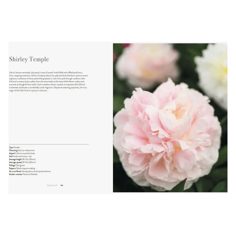 Peonies Coffee Table Book - White Farmhouse Flowers