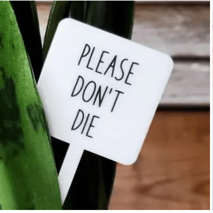 Please Don't Die Plant Marker Stake - White Farmhouse Flowers