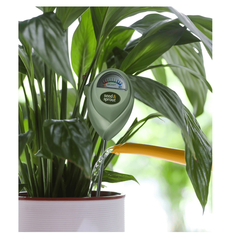 Potted Plant Moisture Meter - White Farmhouse Flowers