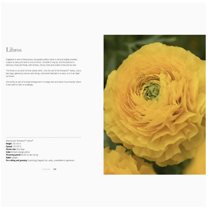 Ranunculus Coffee Table Book - White Farmhouse Flowers