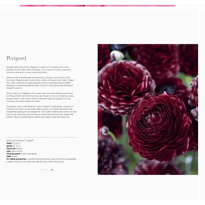Ranunculus Coffee Table Book - White Farmhouse Flowers
