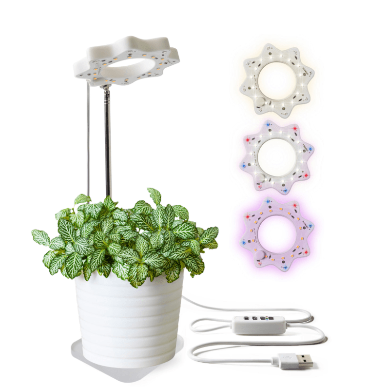 Seed N Sprout Bloomie Indoor Grow Light - White Farmhouse Flowers
