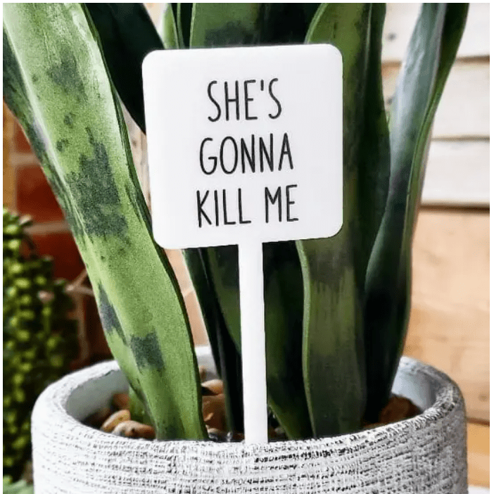 She's Gonna Kill Me Plant Marker Stake - White Farmhouse Flowers