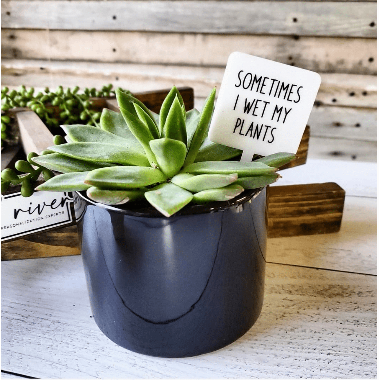 Sometimes I Wet My Plants Plant Marker Stake - White Farmhouse Flowers