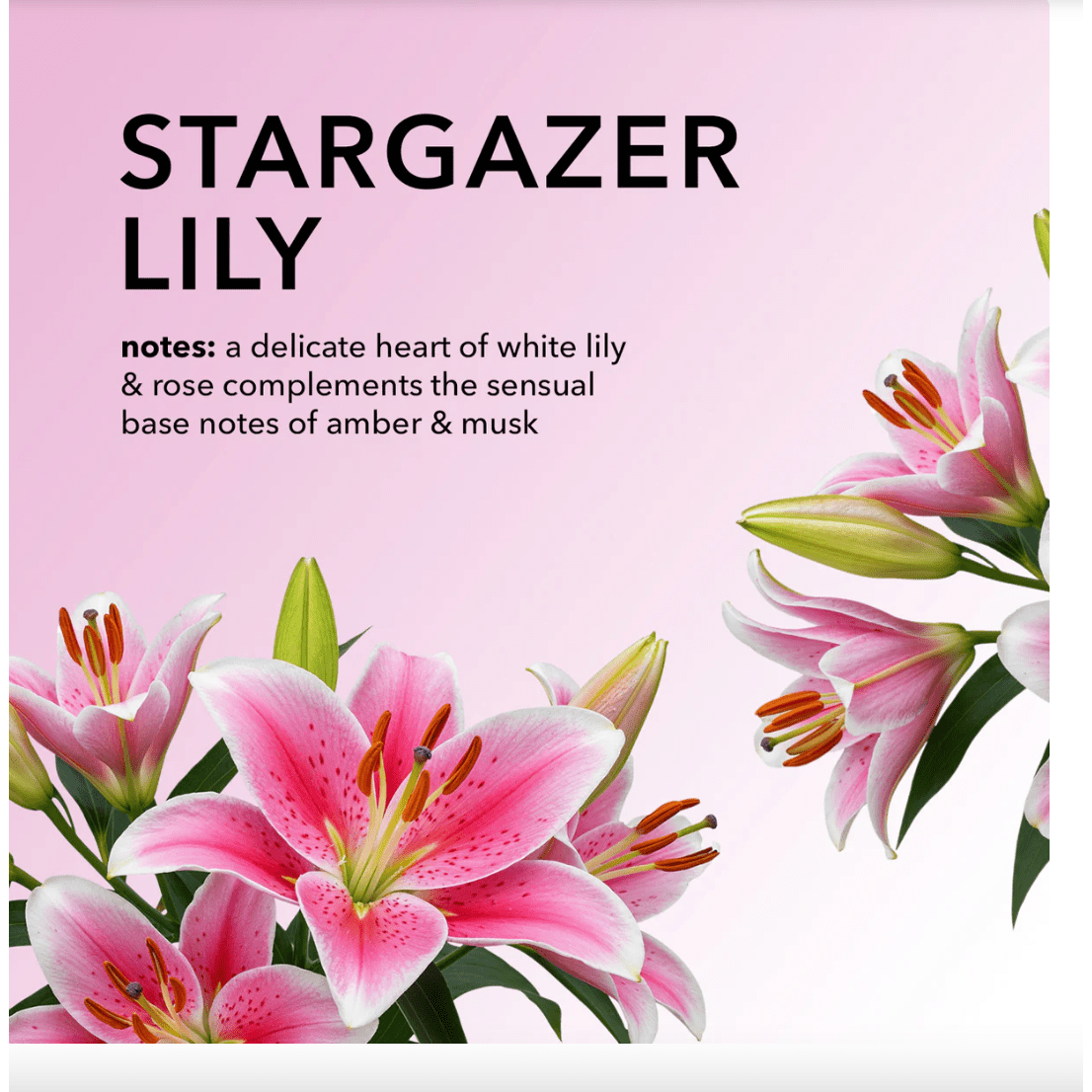 Stargazer Lily Goat Milk Hand Cream 1 oz. - White Farmhouse Flowers