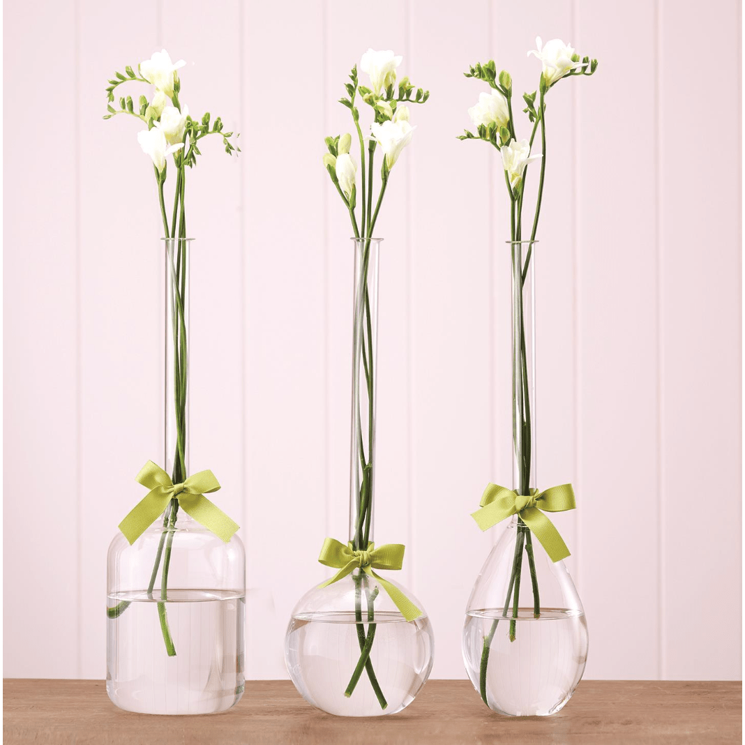 Super Sleek Glass Vase - White Farmhouse Flowers