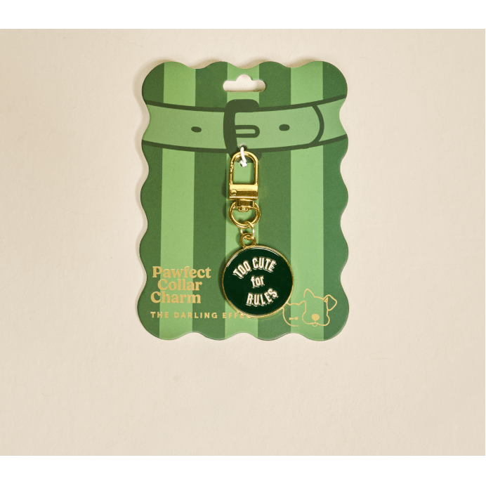 Too Cute for Rules Pawfect Collar Charm - White Farmhouse Flowers