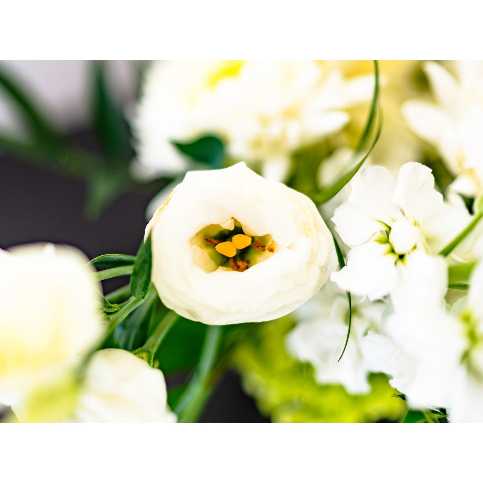 White and Green Floral Arrangement - White Farmhouse Flowers