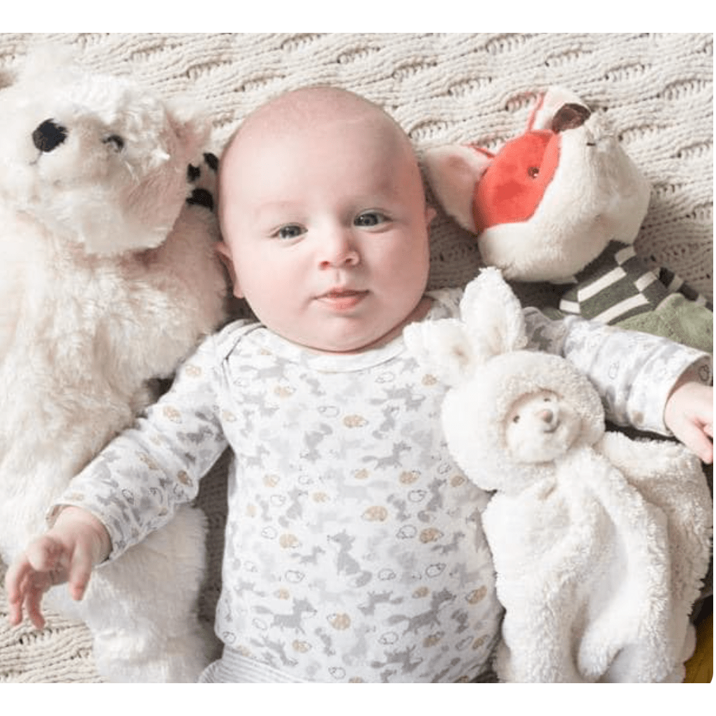 Ziggy Blankie - White - White Farmhouse Flowers