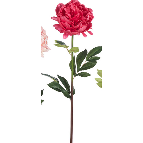 25 Real Touch Peony Stem
