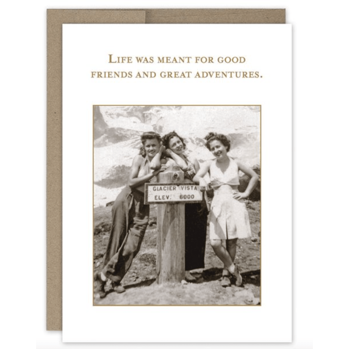 Good Friends Birthday Card SM588 - White Farmhouse Flowers