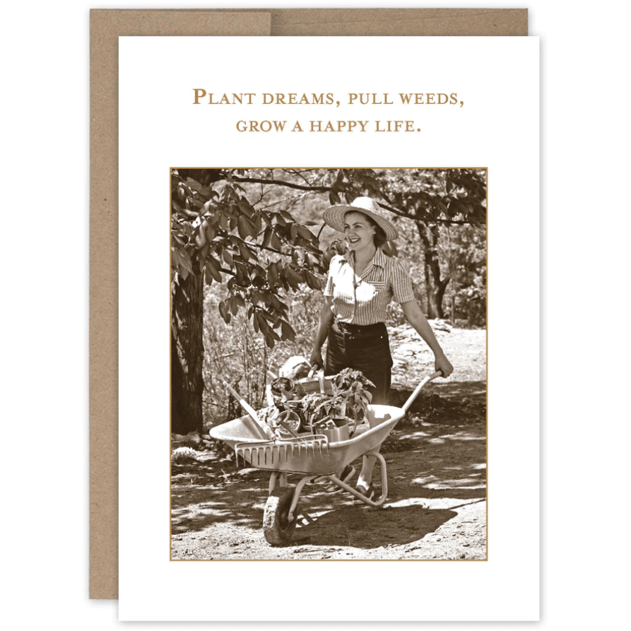 Plant Dreams Birthday Card SM641 - White Farmhouse Flowers