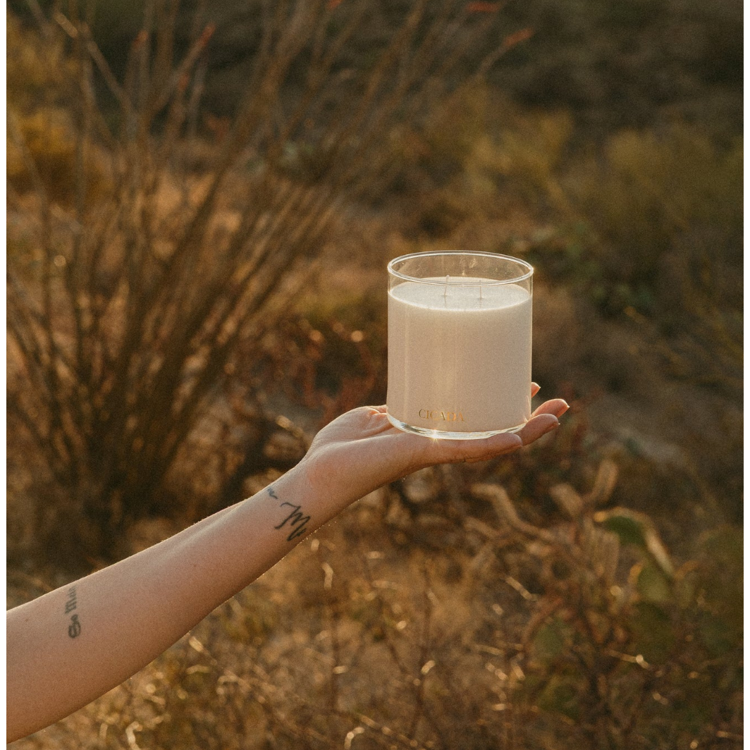 Hand holding a candle labeled 'Candle' against a natural background
