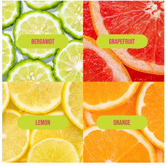 Four types of citrus fruits (bergamot, grapefruit, lemon, orange) with labels on a white background.