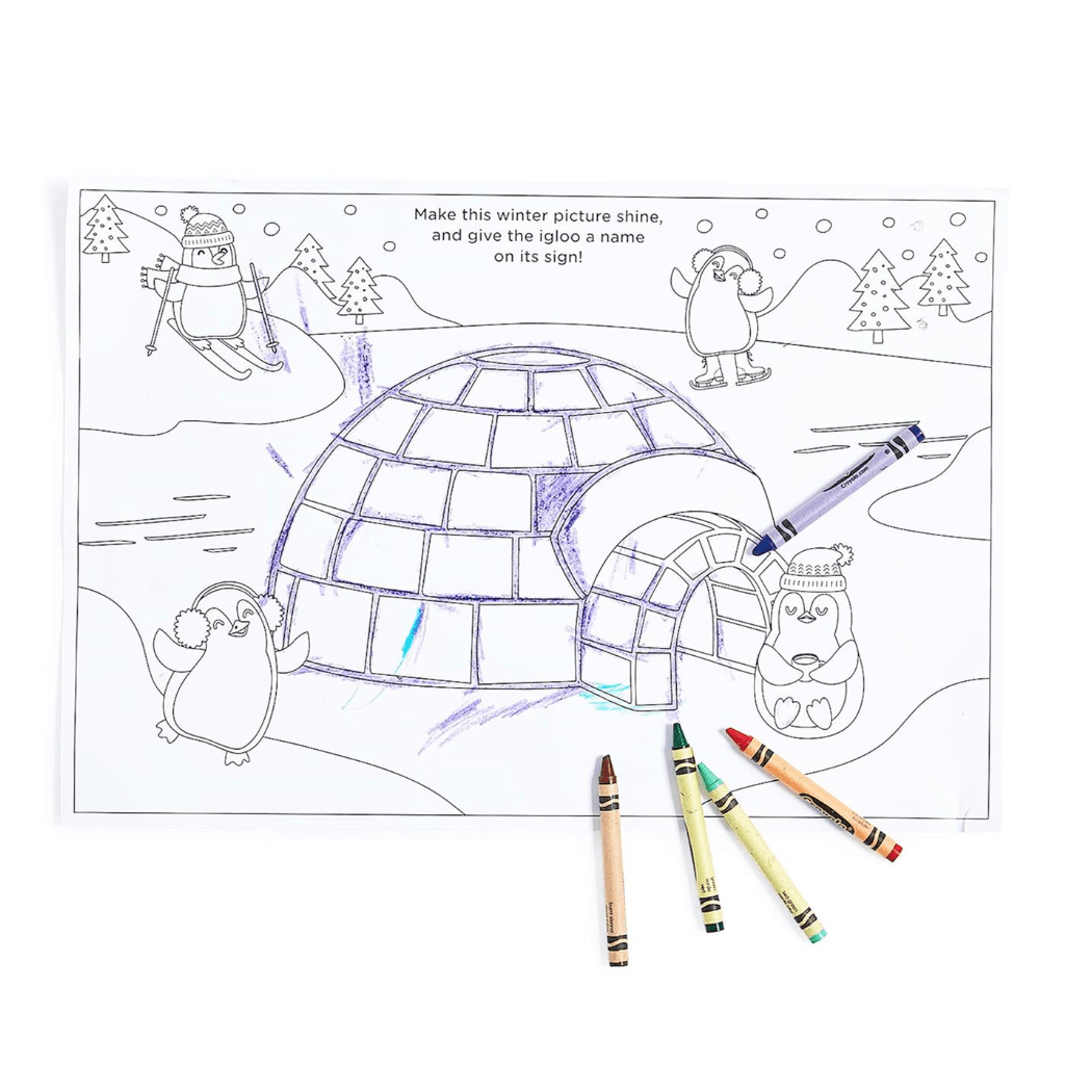 20 Pc Coloring and Activity / Paper Placemats Book - White Farmhouse Flowers