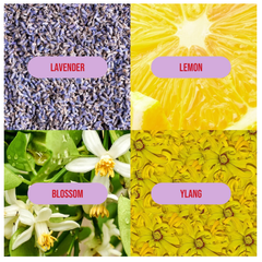 Four different floral and citrus images labeled 'Lavender', 'Lemon', 'Blossom', and 'Ylang'.