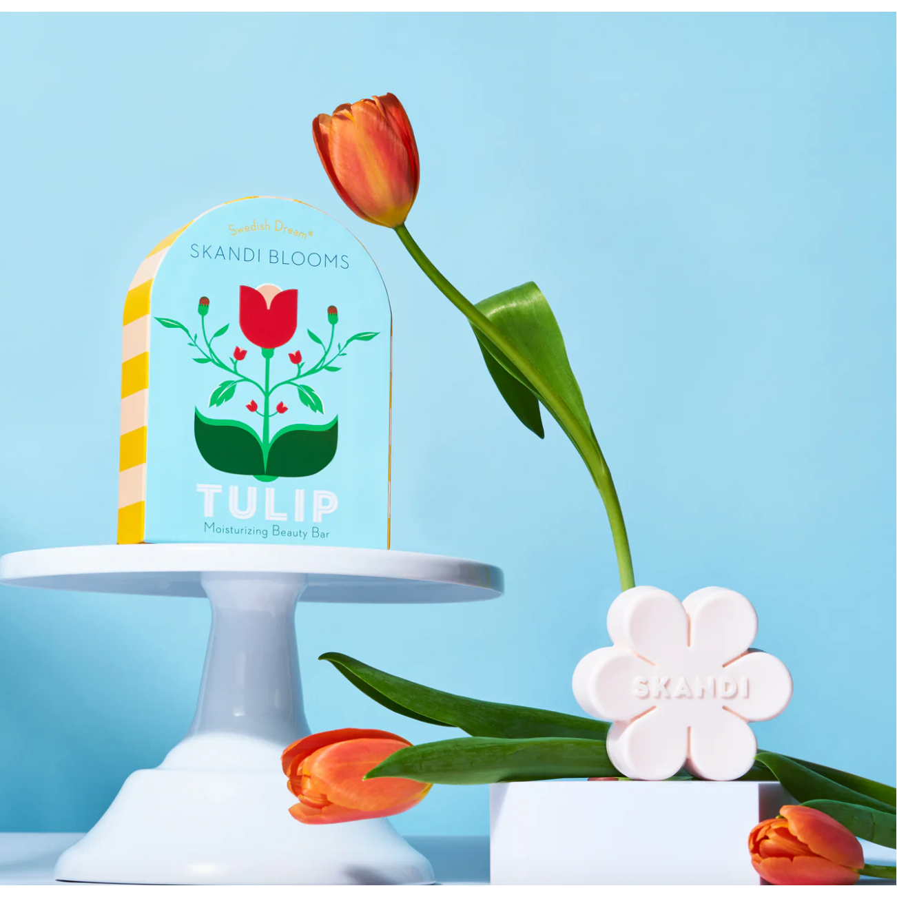 


Skandi Blooms tulip product with a tulip flower on a blue background