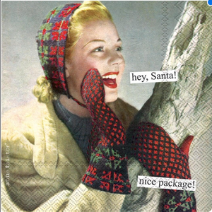 Hey Santa Nice Package