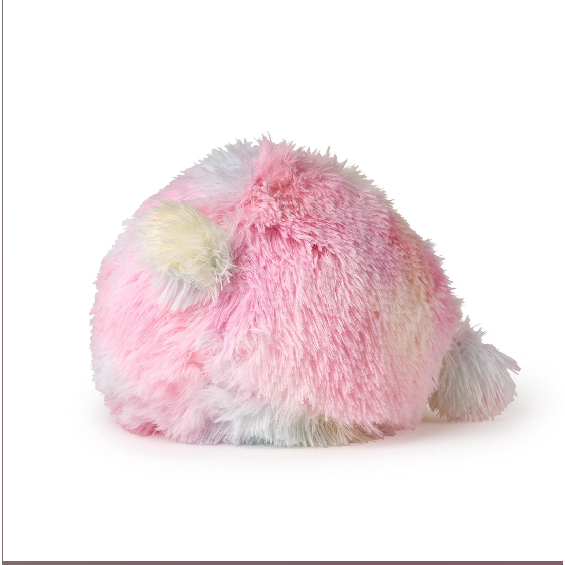 Back of Puffer Fish