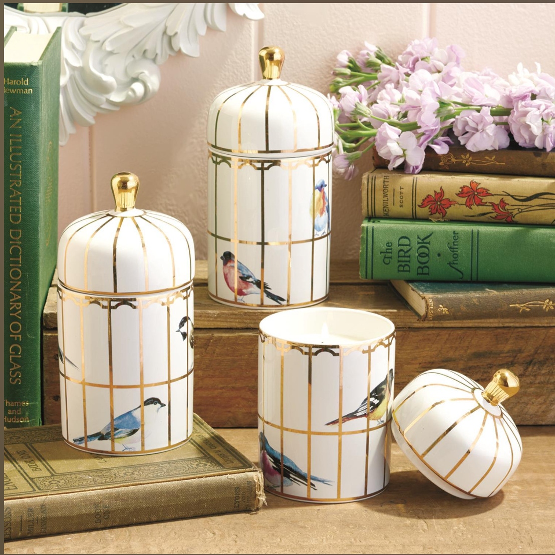 Decorative birdcage-shaped candles on a surface with books and flowers in the background
