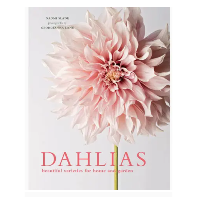 Book cover of 'Dahlias' with a pink flower on a light gray background