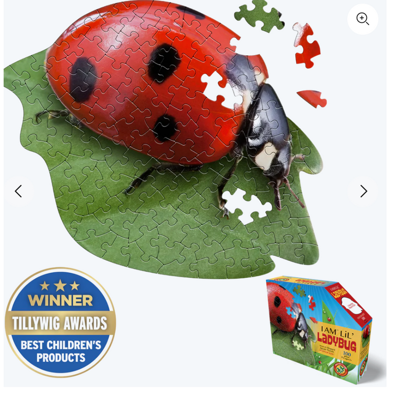I am Lil' Ladybug
