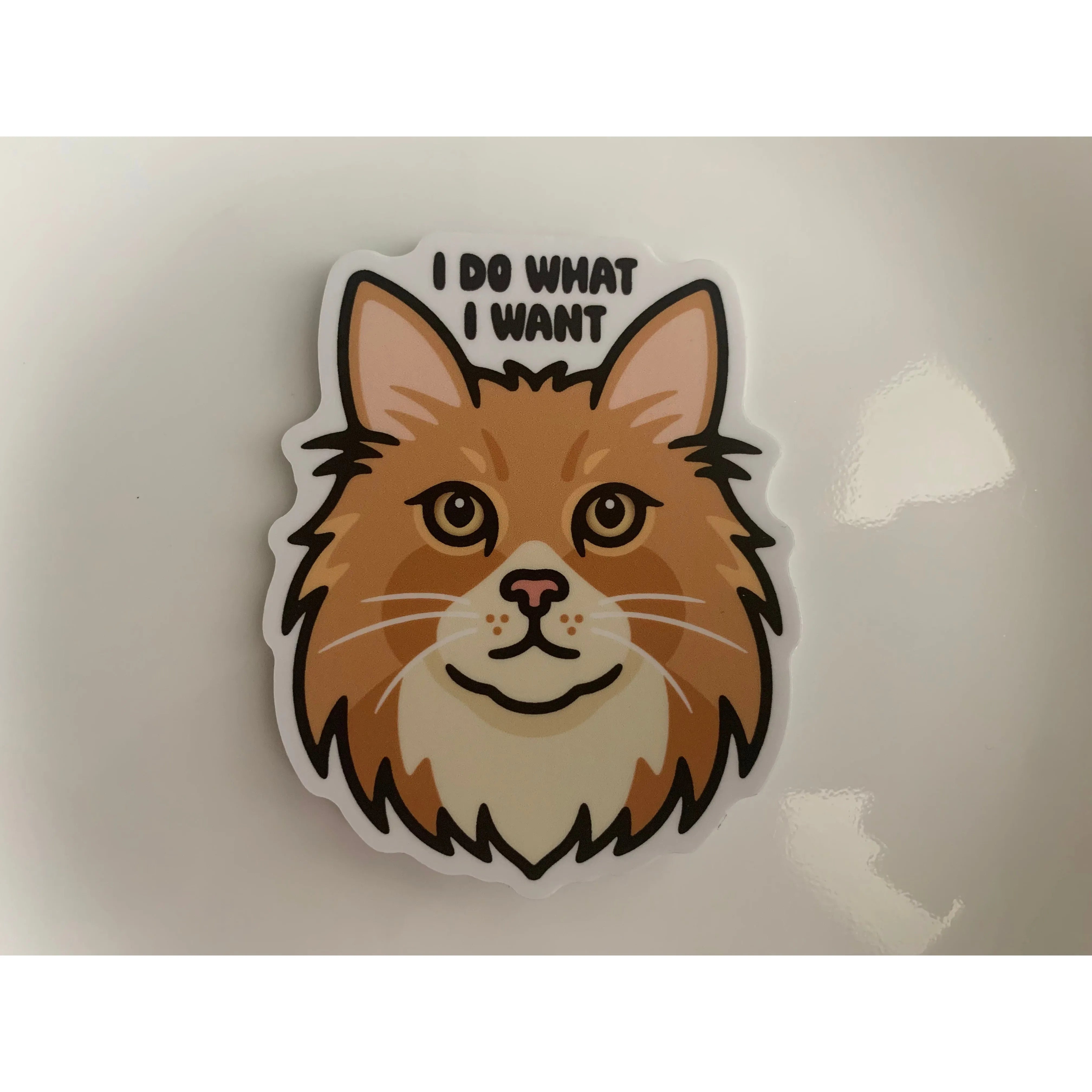I do what I want Cat sticker